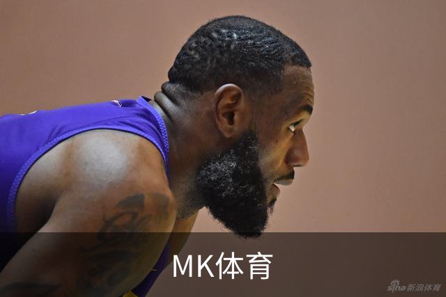MK体育公司简介图